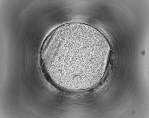 X0000098171340200805221507