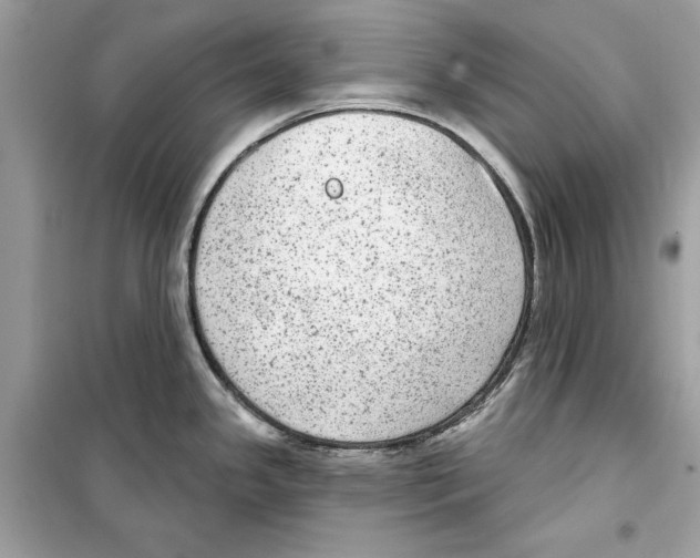 X0000098171341200805221507