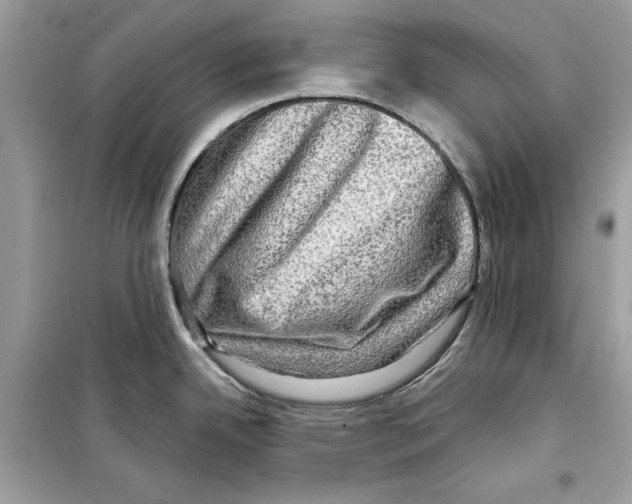 X0000098171342200805221507