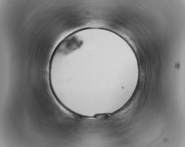 X0000098171343200805221507