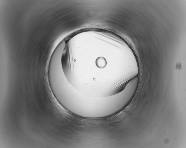 X0000098171344200805221507