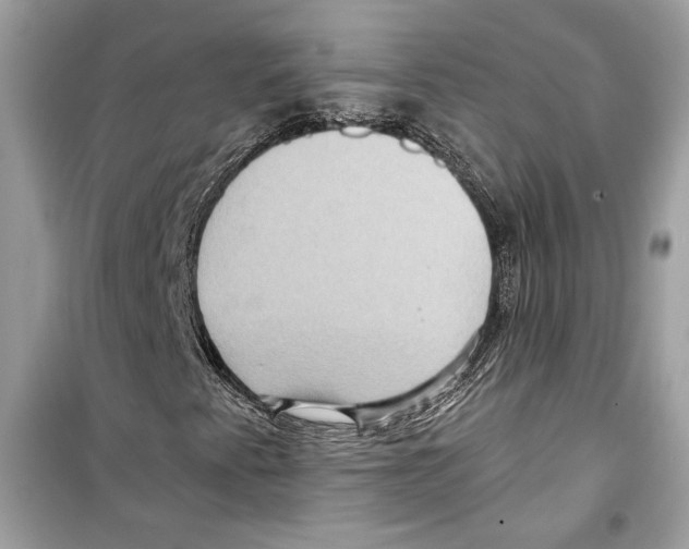 X0000098171345200805221506