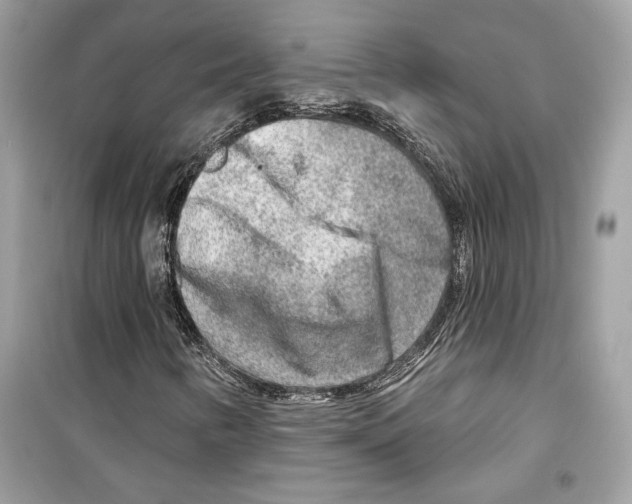 X0000098171346200805221506