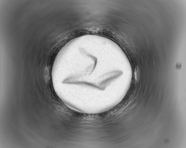 X0000098171347200805221506