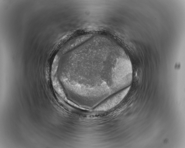 X0000098171348200805221506