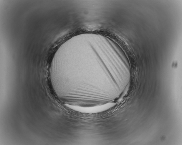 X0000098171349200805221506