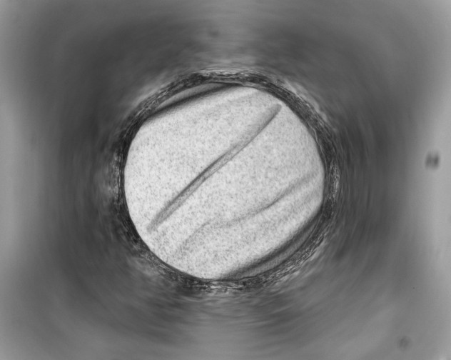 X0000098171350200805221506