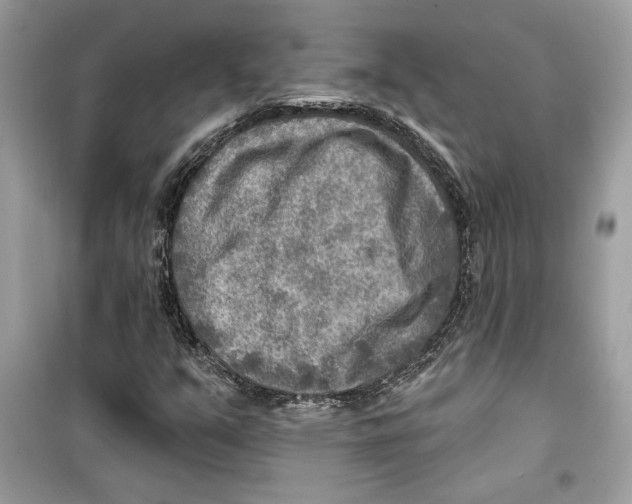 X0000098171351200805221506