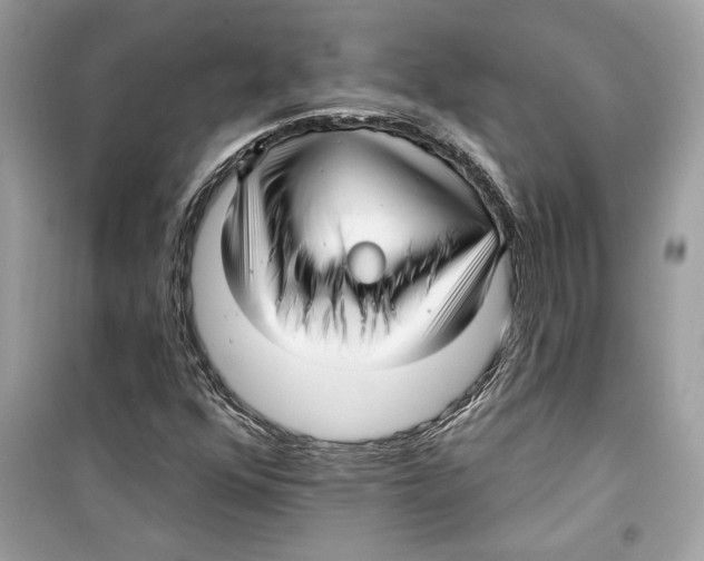 X0000098171352200805221506