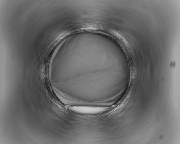 X0000098171353200805221506