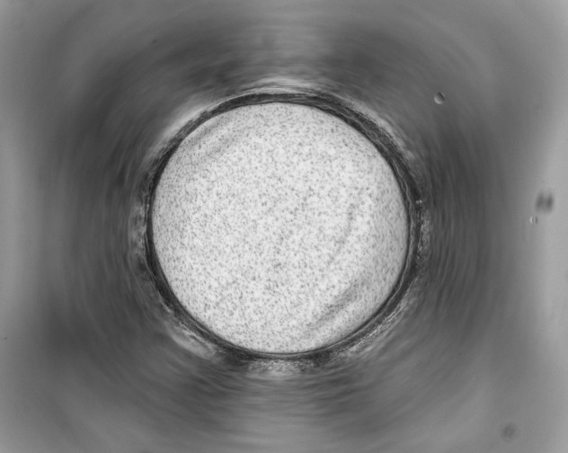 X0000098171355200805221506