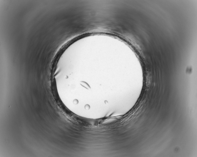 X0000098171356200805221506