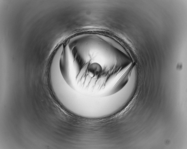 X0000098171357200805221506