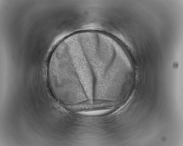 X0000098171358200805221506