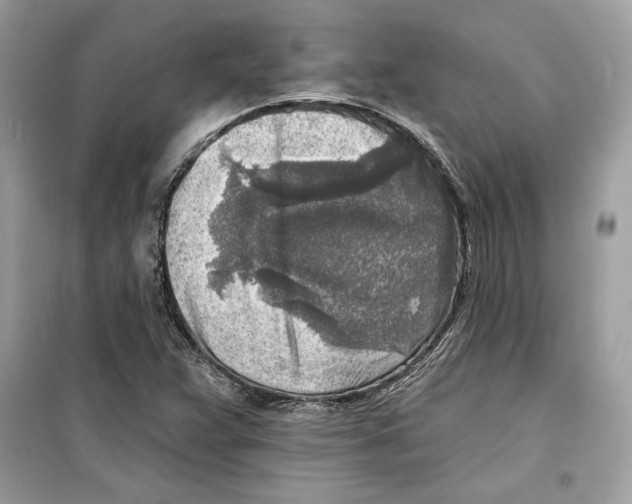 X0000098171359200805221506