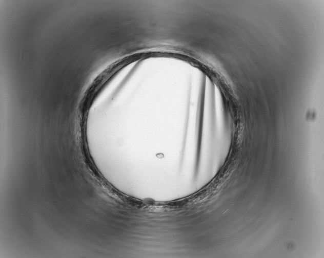 X0000098171360200805221506