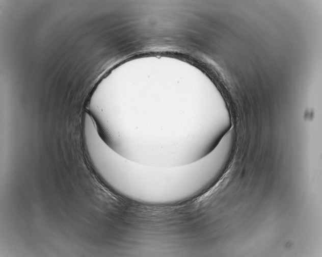 X0000098171361200805221506