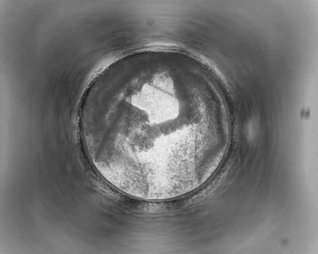 X0000098171362200805221506