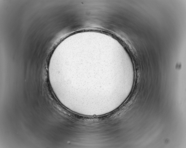 X0000098171363200805221506