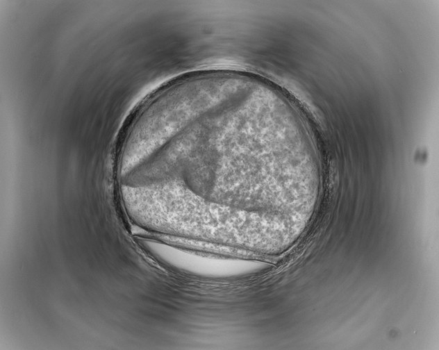 X0000098171364200805221506