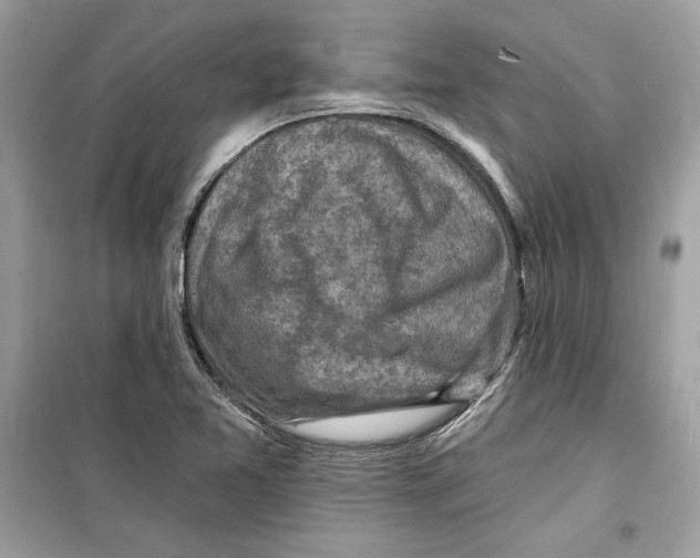 X0000098171365200805221506