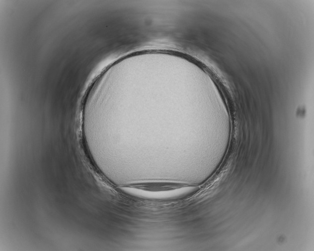 X0000098171366200805221506