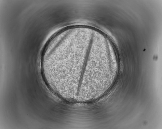 X0000098171368200805221506