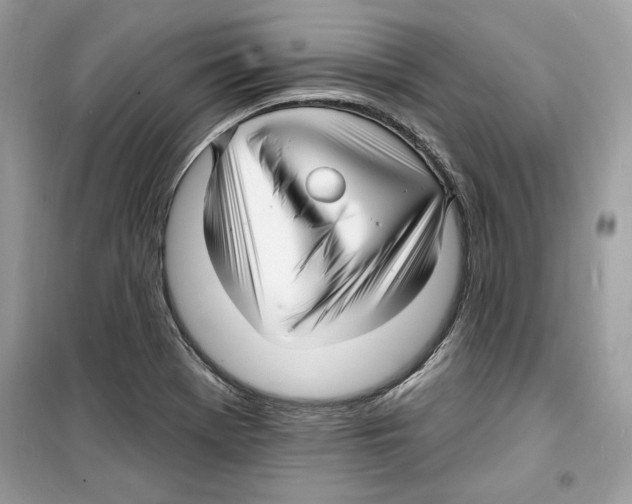 X0000098171369200805221506