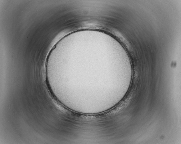 X0000098171370200805221506