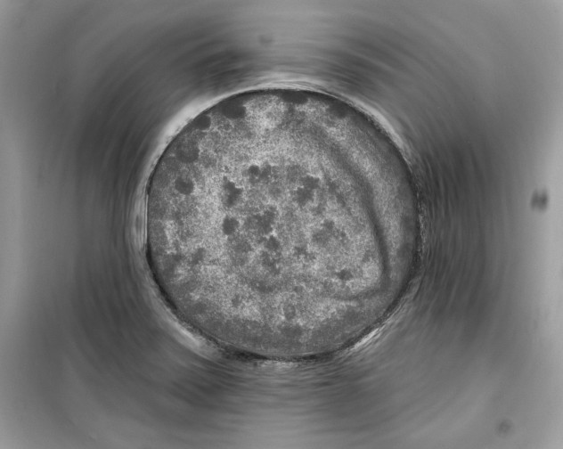 X0000098171371200805221506