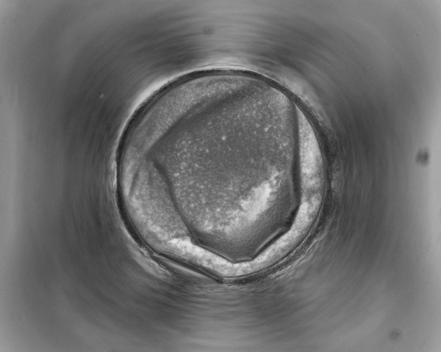 X0000098171372200805221506