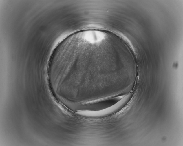 X0000098171373200805221506