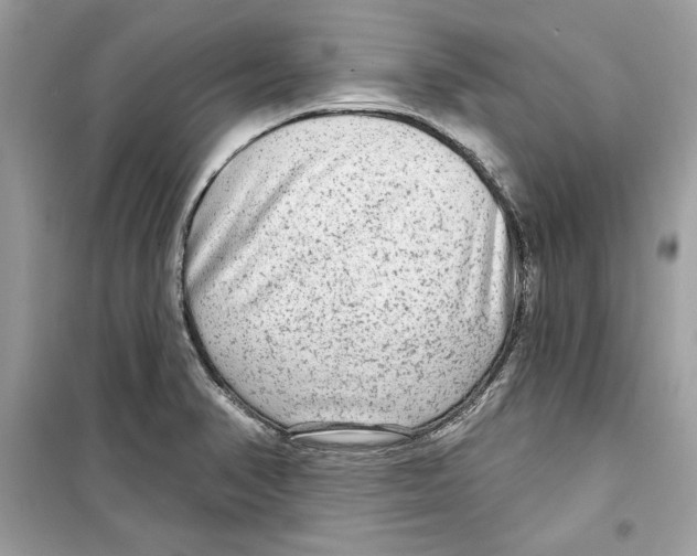 X0000098171374200805221506