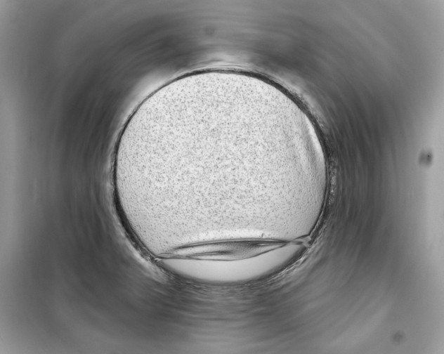 X0000098171375200805221506