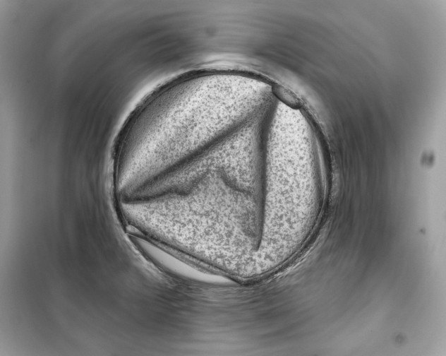 X0000098171376200805221506