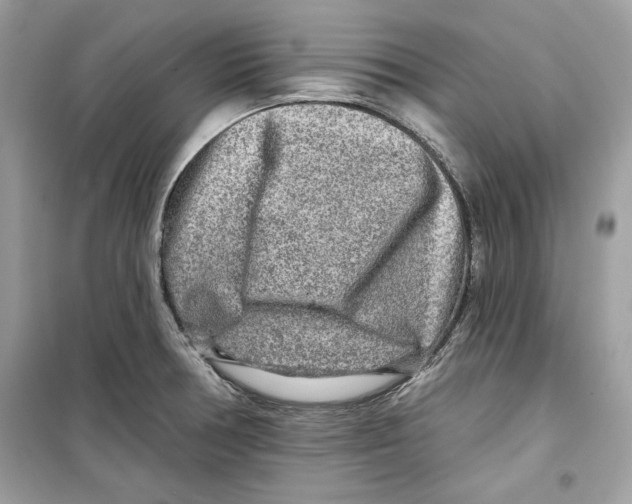 X0000098171378200805221506