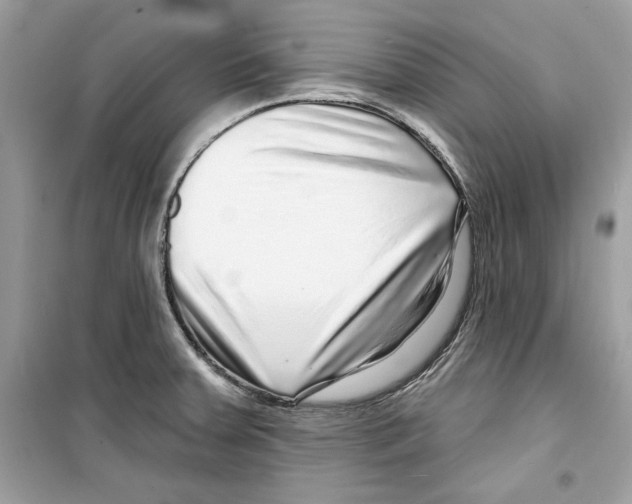 X0000098171379200805221506