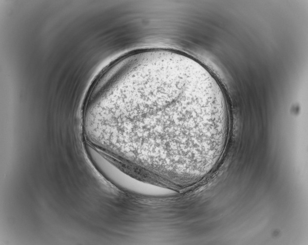 X0000098171380200805221506