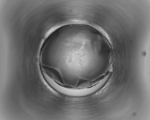 X0000098171381200805221506