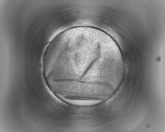 X0000098171382200805221506