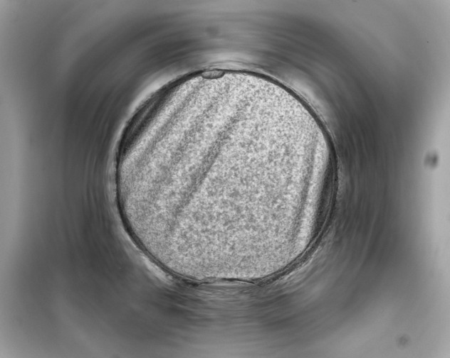 X0000098171384200805221506