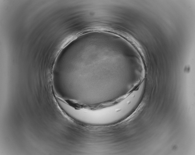 X0000098171385200805221506