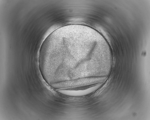 X0000098171386200805221506