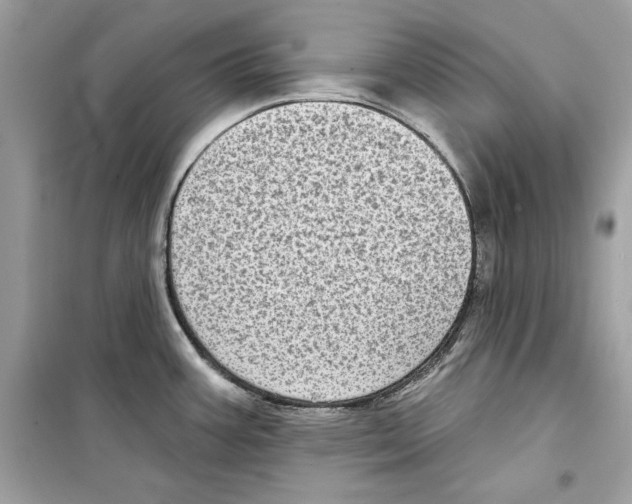 X0000098171387200805221506