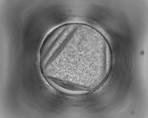 X0000098171388200805221506