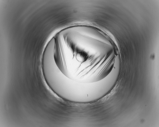 X0000098171389200805221506