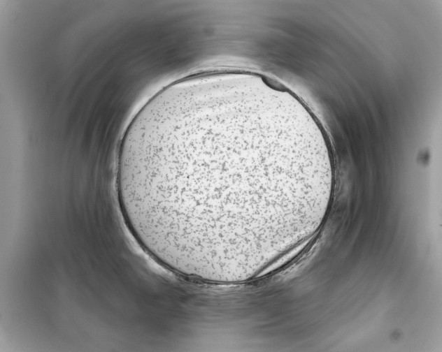 X0000098171390200805221506