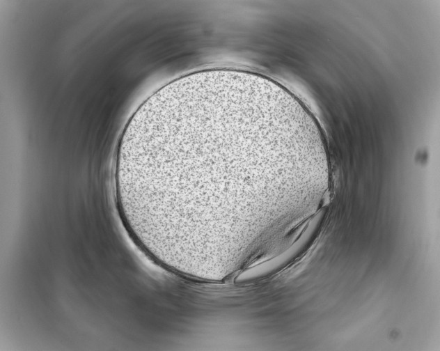 X0000098171391200805221506