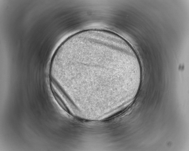 X0000098171392200805221506