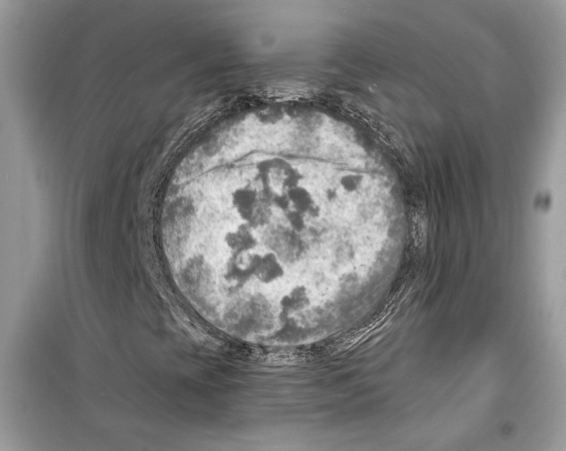 X0000098171393200805221505